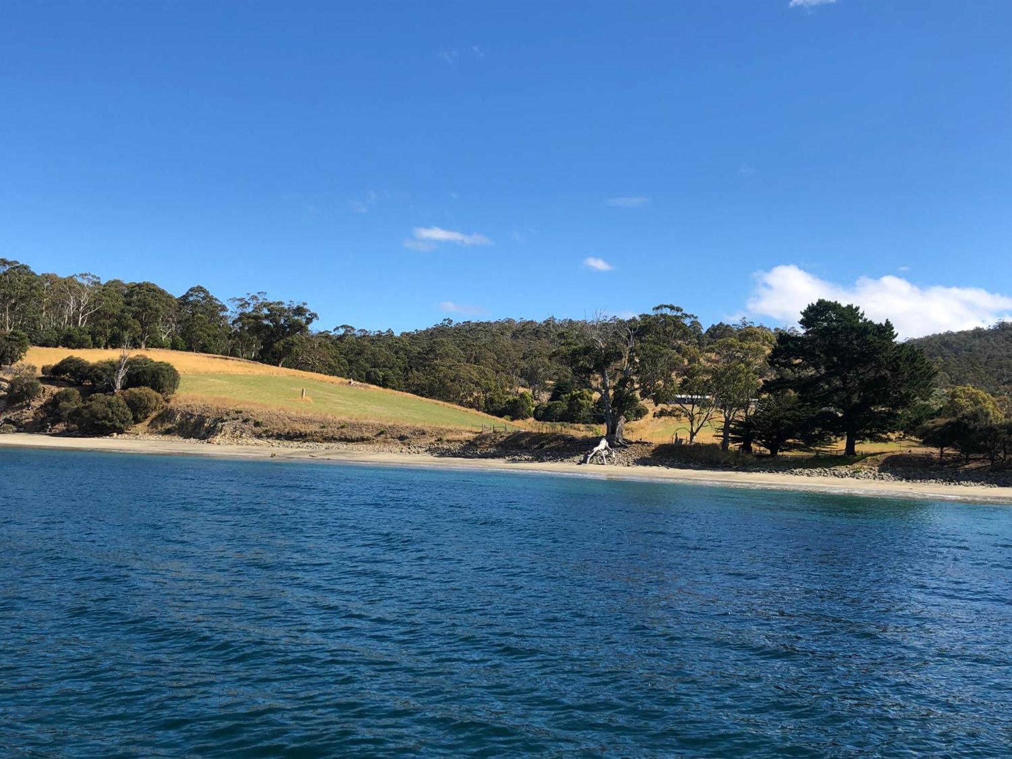 The Woolshed And Farmhouse Blue, Bruny Island Barnes Bay Buitenkant foto